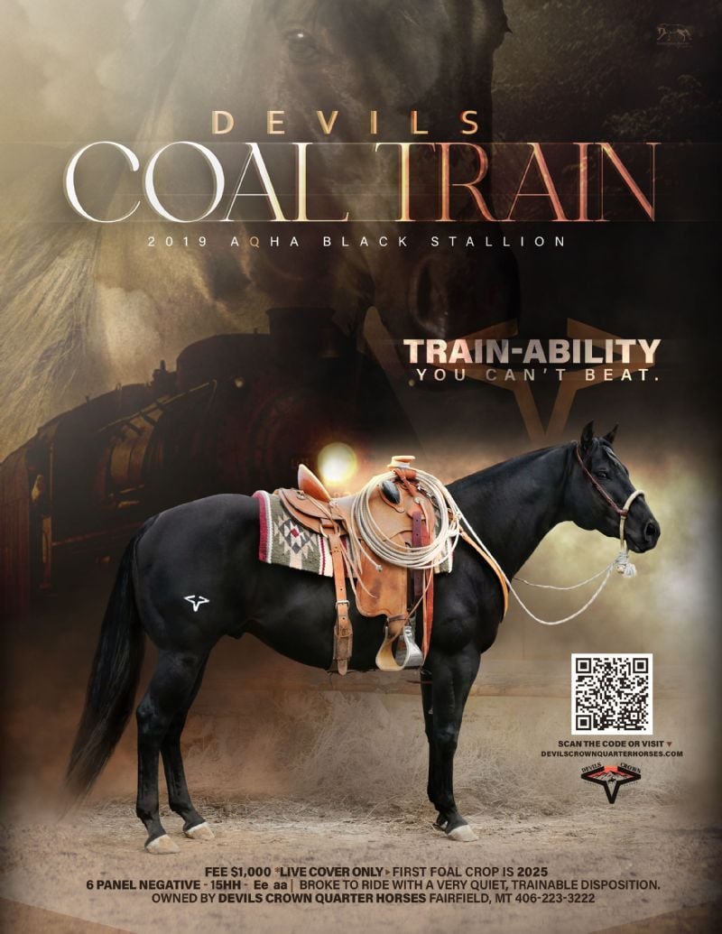 Devils Coal Train